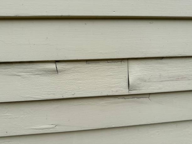 Best Custom Trim and Detailing for Siding  in Oildale, CA